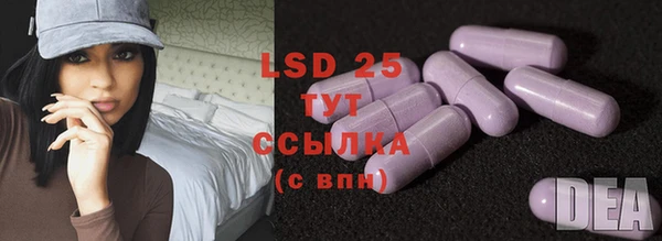 индика Балабаново