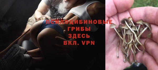 индика Балабаново