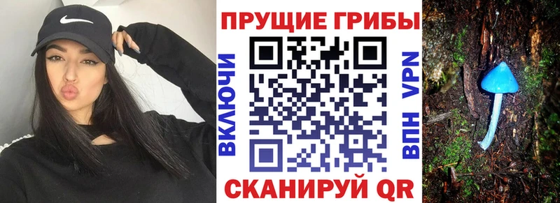 дарнет шоп  Унеча  Галлюциногенные грибы мицелий 